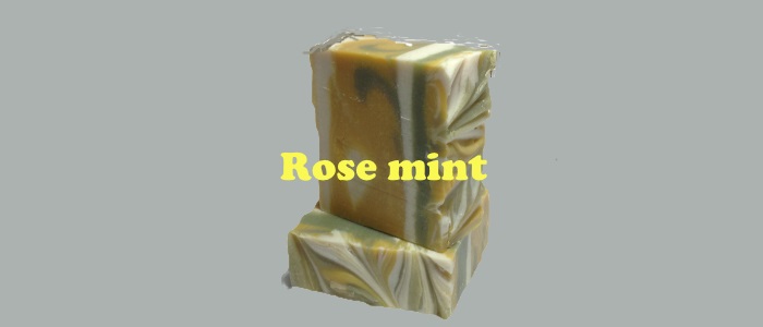 11 Rose mint